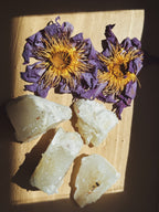 AURA LUNA | Copal & Lotus Oil