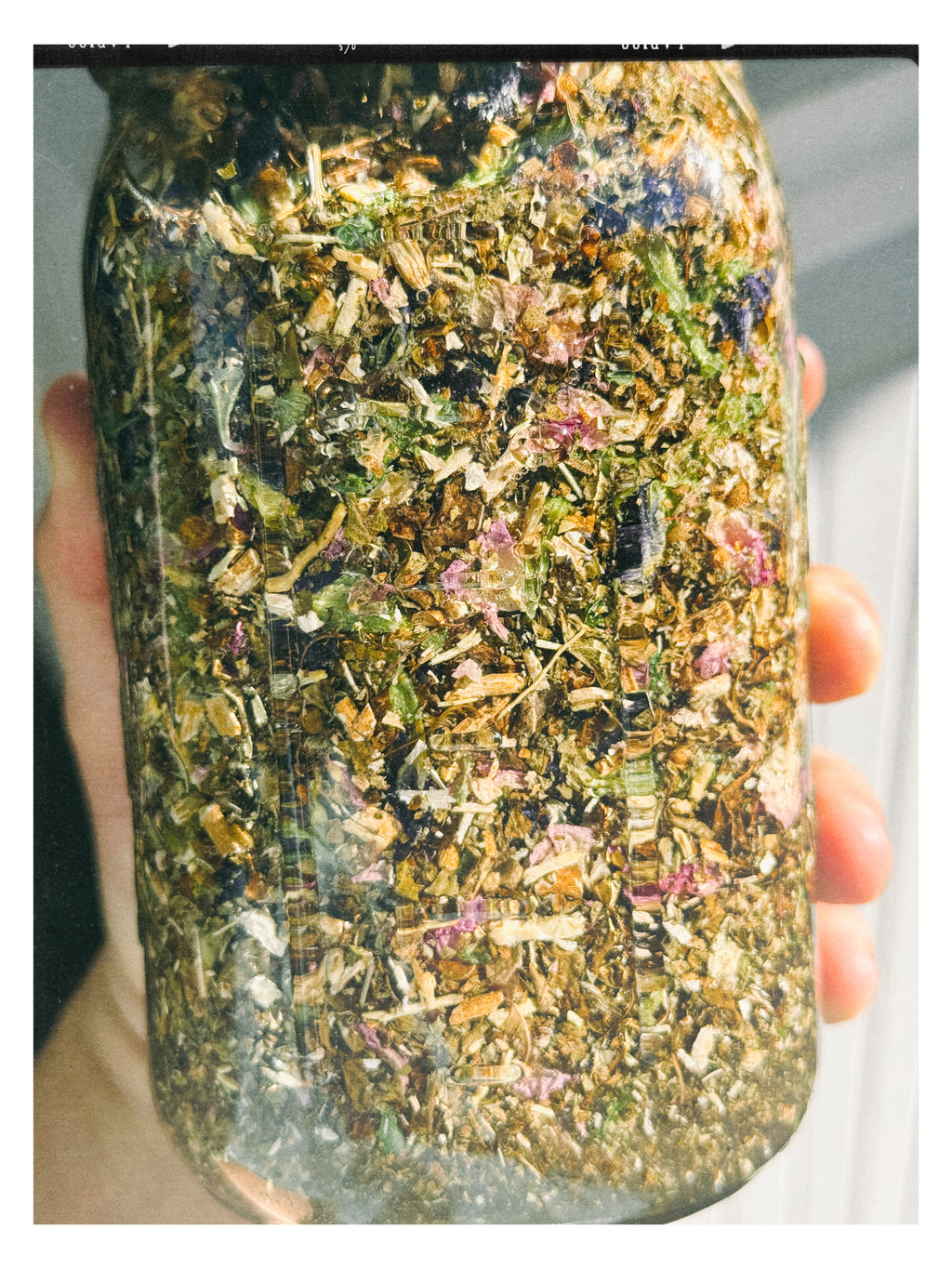 Cosmic Surfer | Nervous System Elixir