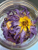 Blue Lotus Elixir