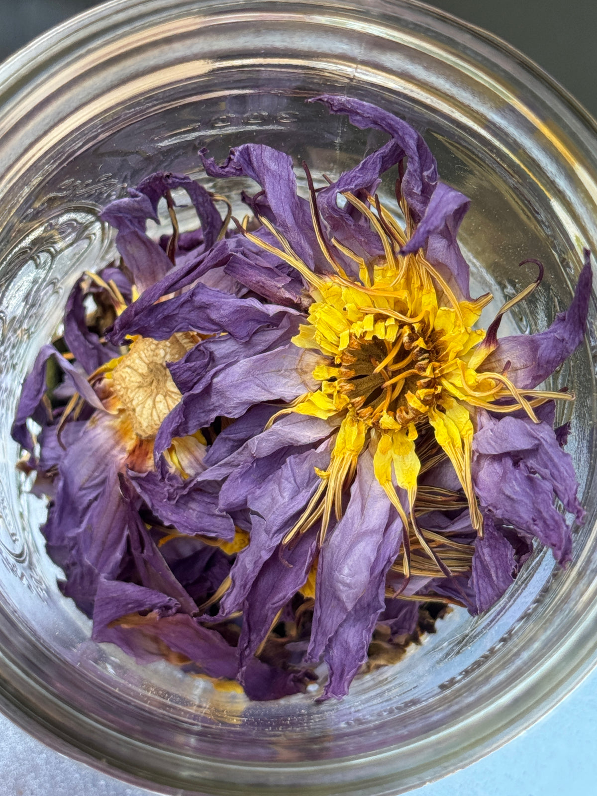 Blue Lotus Elixir