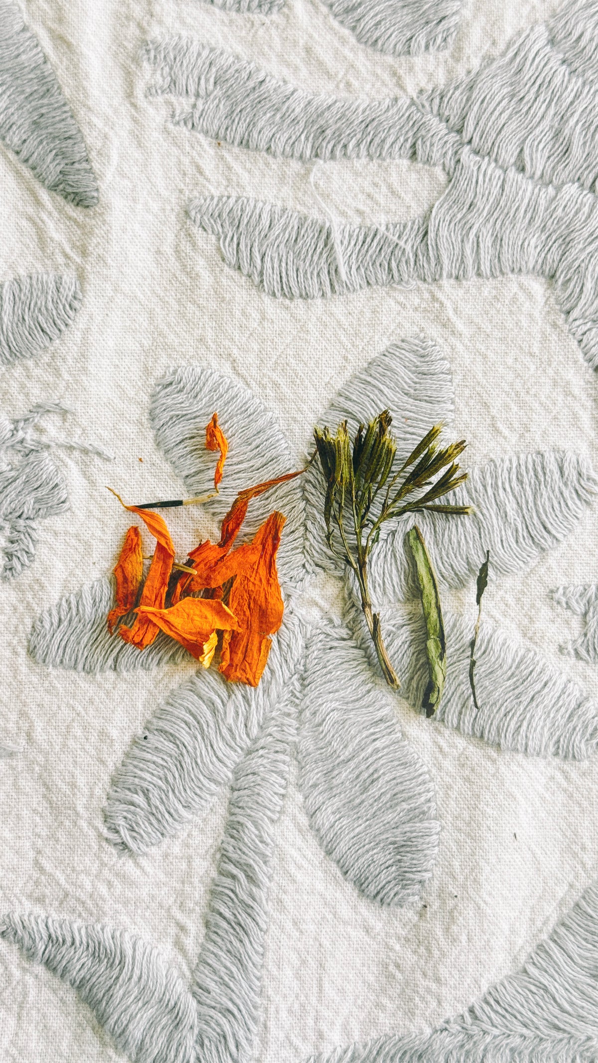 Mexican Marigold Oil